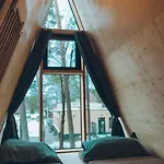 Trikampis Misko Namelis Druskininku Centre *