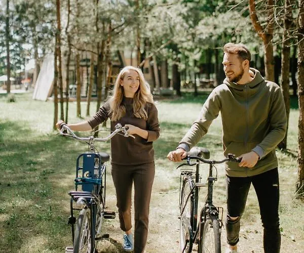 Chalet Trikampis Misko Namelis Druskininku Centre *