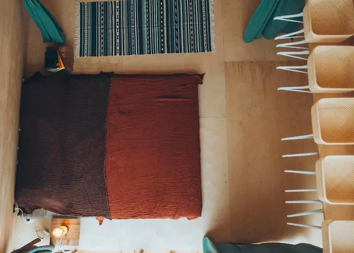 Trikampis Misko Namelis Druskininku Centre *