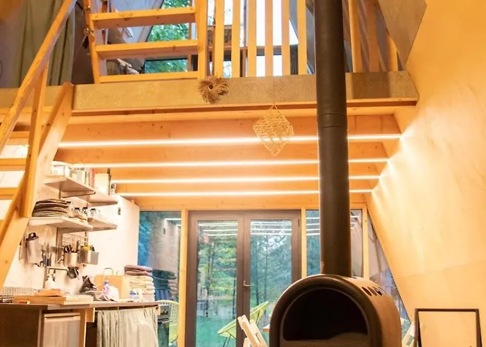 Trikampis Misko Namelis Druskininku Centre Chalet